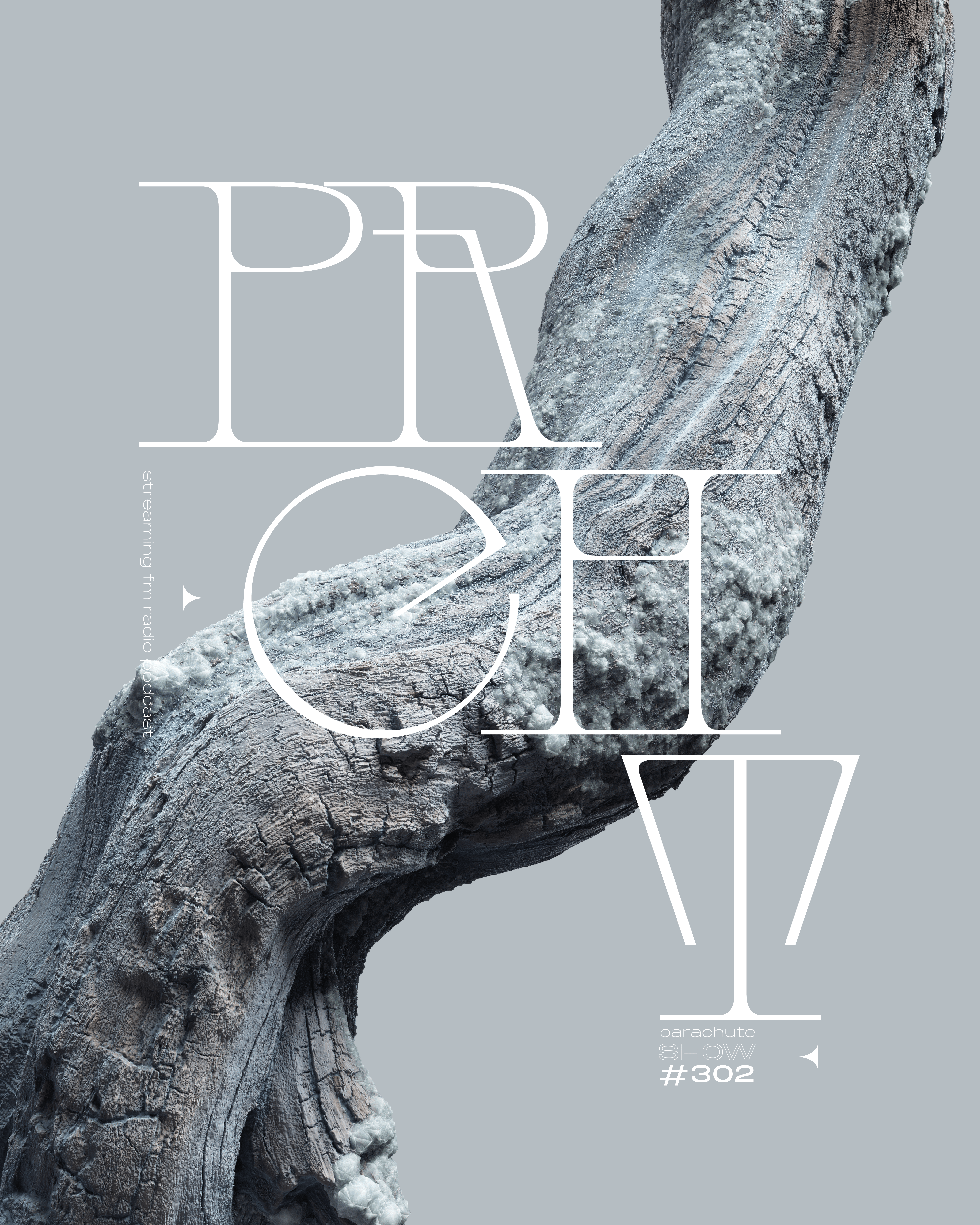 ThereseDetje_3D_frozenbranch_type_2